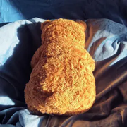 在重庆晒太阳的飞鱼的个人资料头像