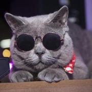 认认真真搞学习的个人资料头像