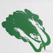 YaraHong的个人资料头像