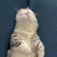 魔法小鱼uv8头像