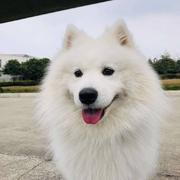 FZB的个人资料头像