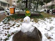 半岛灬铁盒的个人资料头像