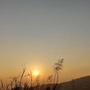 萤火虫想点亮星空的个人资料头像