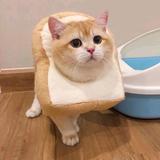 YL头像