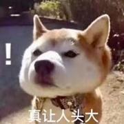 瑾轩_的个人资料头像