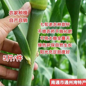 幸福黑桃头像