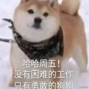 qyyyyq的个人资料头像