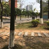 猪仔899头像