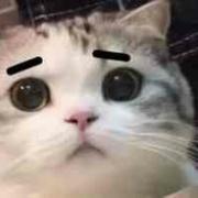 DDD_的个人资料头像