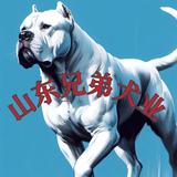 鲁西南犬业头像