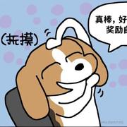 恶魔毛毛摸猫猫的个人资料头像