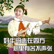 幼儿园抢锅第一名的个人资料头像