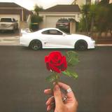 老罗来了兄弟头像