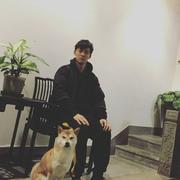 陈宇_是个小白的个人资料头像