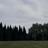 海苔紫薯饭头像