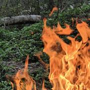 爆炒鱿鱼的个人资料头像