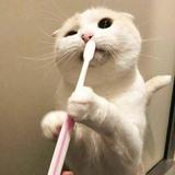 听谁是谁头像