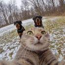 Jule的个人资料头像