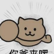 Zhanyi的个人资料头像