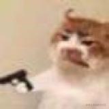 最积极的菜狗的个人资料头像