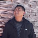 汪哥生活分享头像