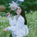 随性自由的菠萝V头像