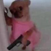 JIAY的个人资料头像