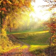 HanYang的个人资料头像