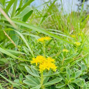 细心原野6D8头像