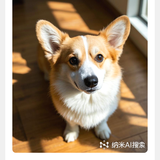 安逸暖阳XY头像