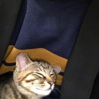 明度明度明度明度明度x一万头像