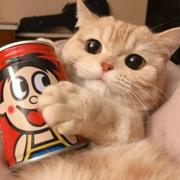 阿里云华为云天翼云腾讯云代理商_小李的个人资料头像