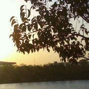 吴学宇的个人资料头像