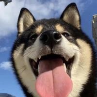 楼上J先森头像