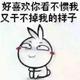 双子之星VIP头像