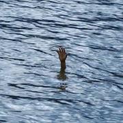 鸡皮疙瘩的个人资料头像