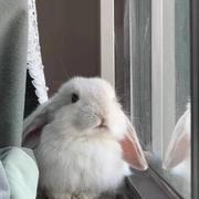 刘大虾的个人资料头像