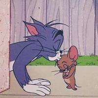 假装在成都头像