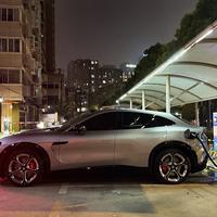 自若柑桔XP0头像