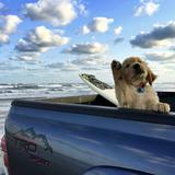 用户5591995104036头像