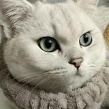 落秋丶52头像