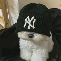 卡特琳明头像