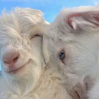 用户1502540857701头像