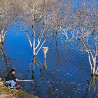 温柔的香瓜头像