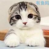 RJ56头像