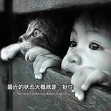 黑柴碰八铜头像