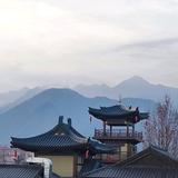 智慧风声rfc头像