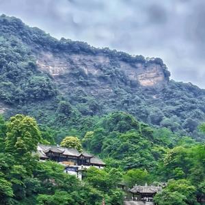 漂向远方头像