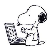 g_d典的个人资料头像