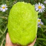 吃饭了小陈头像